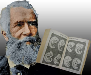 Ernst Haeckel ve sahte embriyo çizimleri.