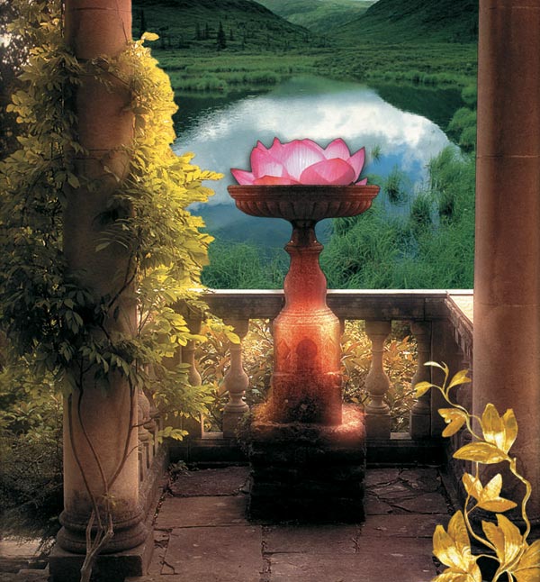 landscape