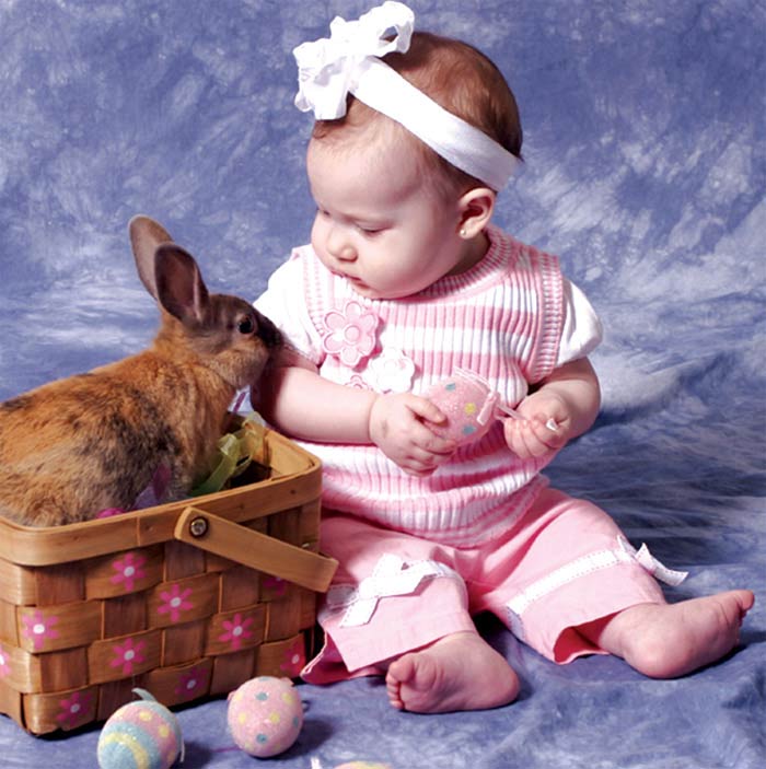bebek, tavşan