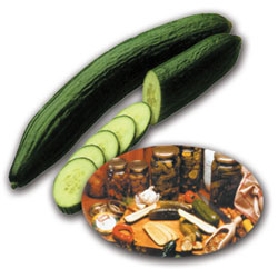 cucumber_food