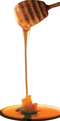 bal