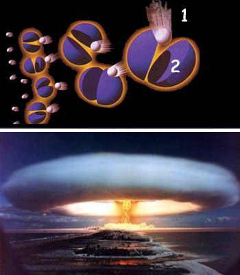 atom boms