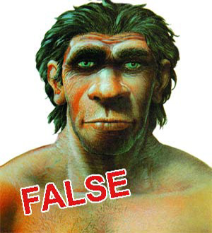 evolution, fake illustration