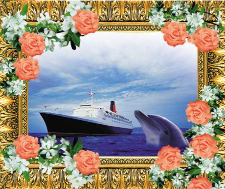 dolphin, ship