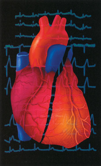 kalp, elektriksel uyarı