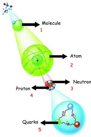 Molecule, Atom, Neutron, Proton