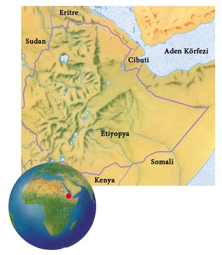 cibuti haritası