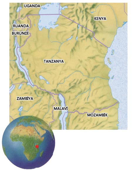 Tanzanya haritası