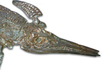 Ichthyosaurs, ittiosauri