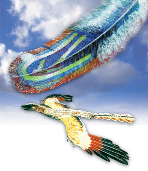 archæopteryx